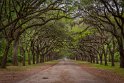 079 Wormsloe Historic District